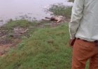 हादसा बता रहा है सतपुड़ा टाइगर रिजर्व का असली चेहरा (मानवता हुई तार तार): नर्मदापुरम