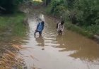 योजनाओं की दलदल में फंसा देश का भविष्य: ग्राम नाहरकोला कला सिवनी मालवा नर्मदापुरम , पूरी खबर के लिए लिंक पर क्लिक करें।
