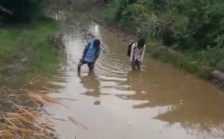 योजनाओं की दलदल में फंसा देश का भविष्य: ग्राम नाहरकोला कला सिवनी मालवा नर्मदापुरम , पूरी खबर के लिए लिंक पर क्लिक करें।
