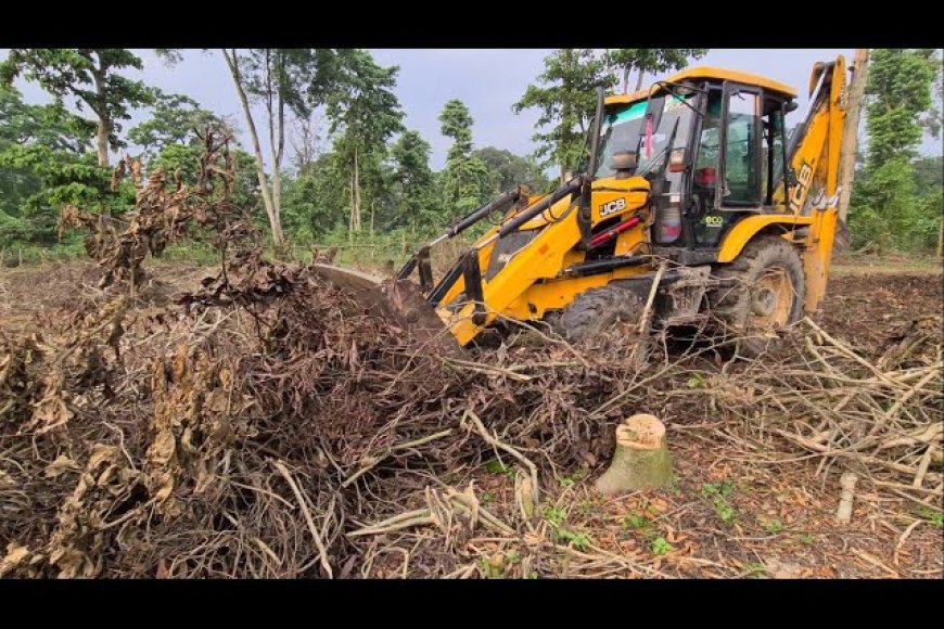 वन विभाग की दमनकारी कार्रवाई के खिलाफ दिया गया ज्ञापन  :केसला जिला नर्मदा पुरम