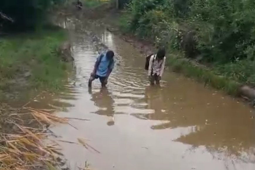 योजनाओं की दलदल में फंसा देश का भविष्य: ग्राम नाहरकोला कला सिवनी मालवा नर्मदापुरम , पूरी खबर के लिए लिंक पर क्लिक करें।