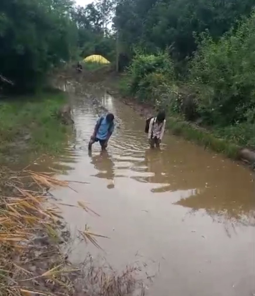 योजनाओं की दलदल में फंसा देश का भविष्य: ग्राम नाहरकोला कला सिवनी मालवा नर्मदापुरम , पूरी खबर के लिए लिंक पर क्लिक करें।